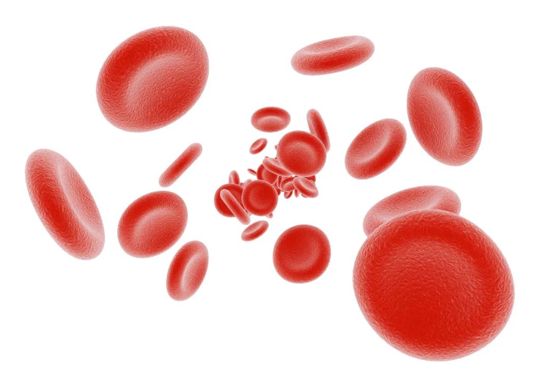 贫血_新浪财经_新浪网