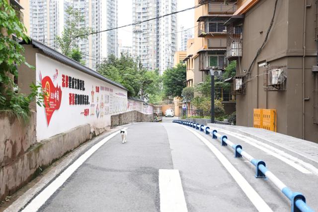 图为重庆市南岸区南坪镇兴隆社区.李全一 摄