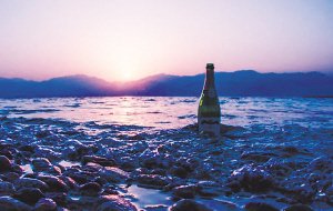 人生旅途与酒|李白_新浪财经_新浪网