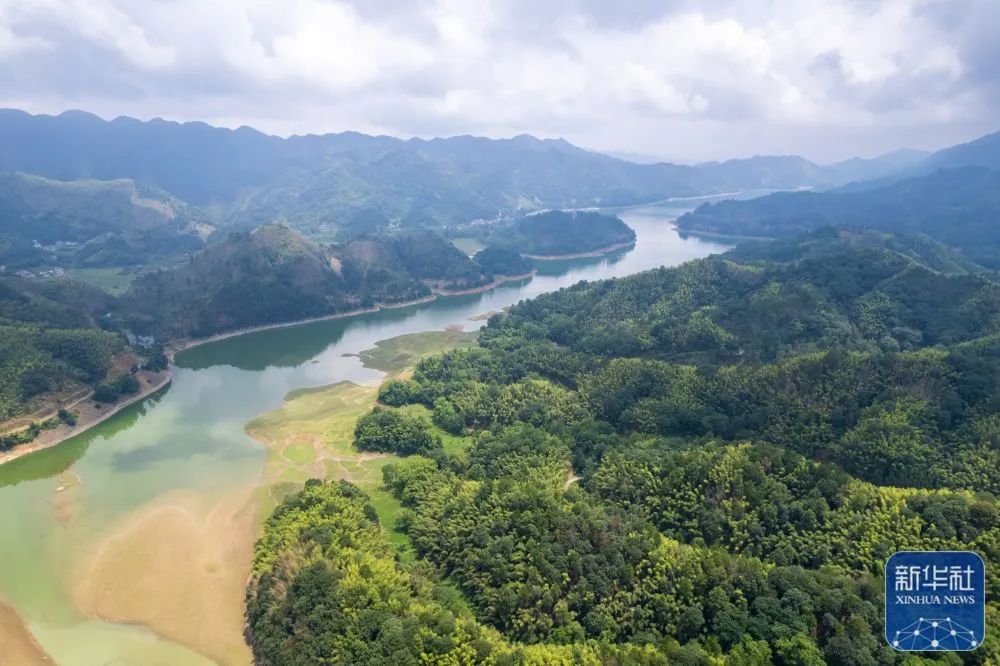 这是8月2日在益阳市桃江县拍摄的桃花江国有林场(无人机照片).