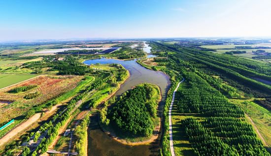 齐河黄河水乡国家湿地(齐河县委宣传部供图)