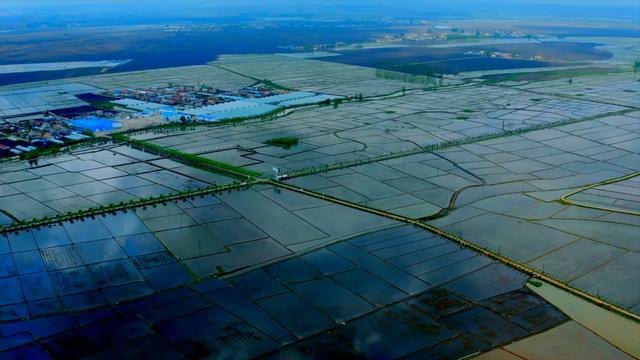 千城胜景|吉林永吉:绿波夏浪映稻田|吉林省_新浪财经_新浪网