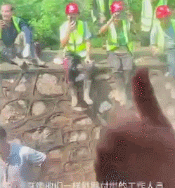 截图自亲历者、抖音博主“百斤”