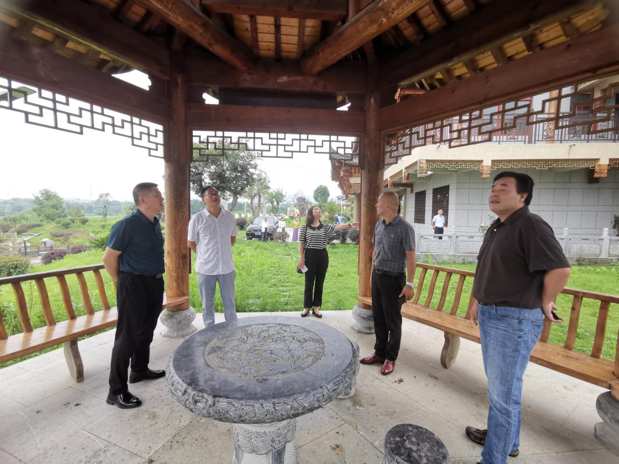 怀宁县凉亭乡:人大代表提建议  部门出招助落实