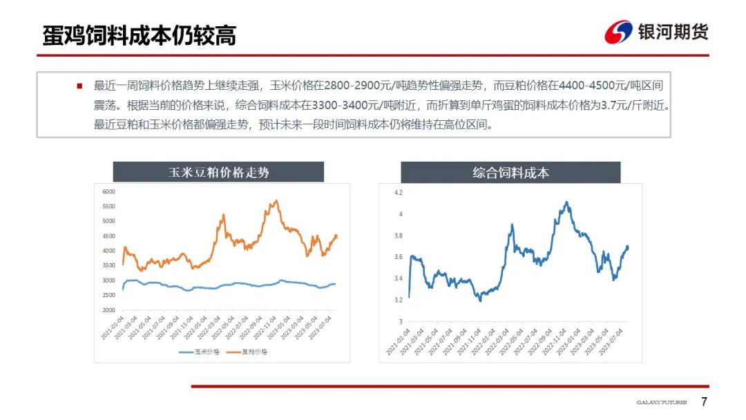 蛋价上涨明显 养殖利润大幅好转