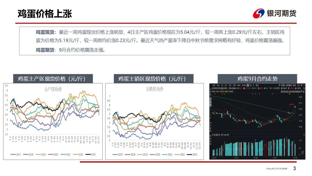 蛋价上涨明显 养殖利润大幅好转