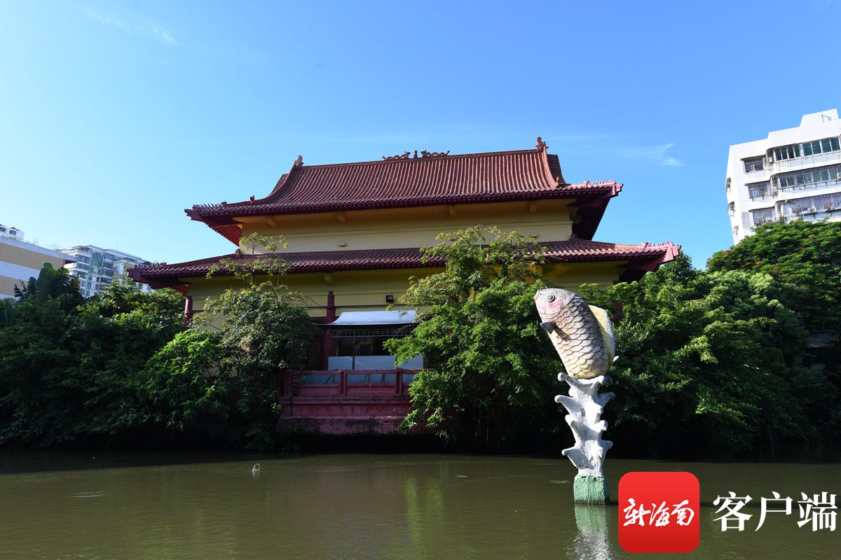 海口湖中寺:闹市区中难得的曲径通幽处
