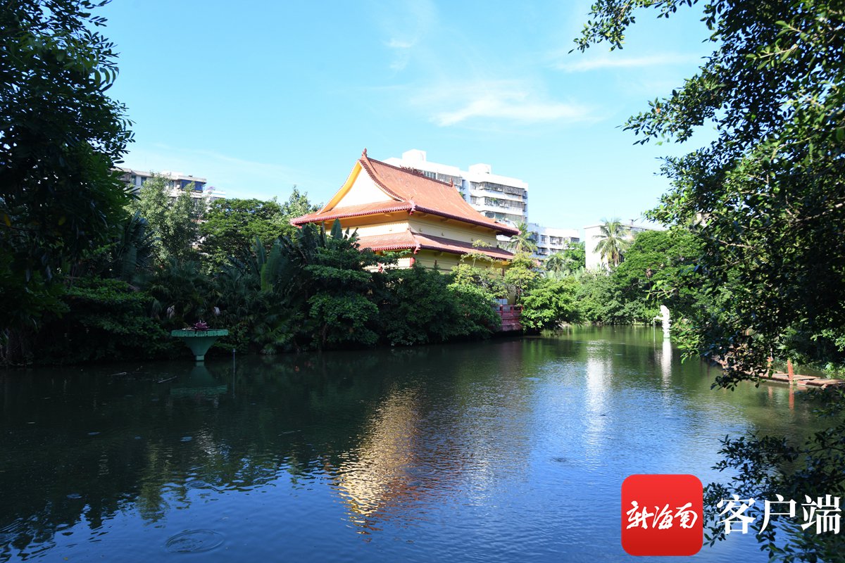 海口湖中寺:闹市区中难得的曲径通幽处