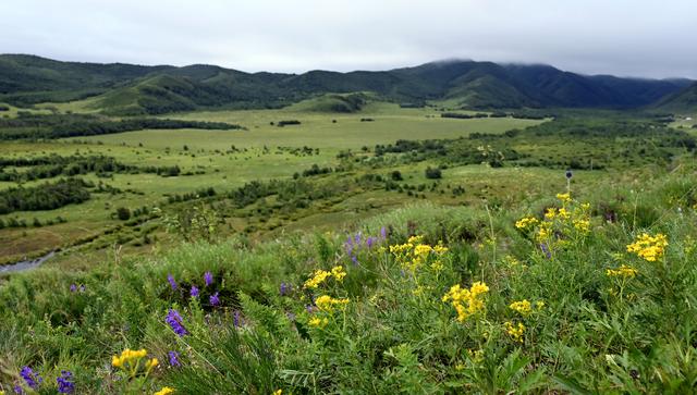 美丽中国丨走进罕山|通辽市_新浪财经_新浪网