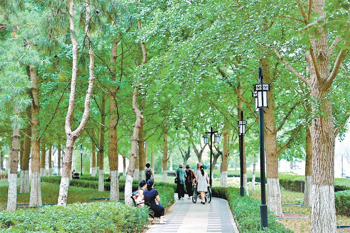 公园在改造过程中丰富树木种类与数量，提升健步慢行系统，让市民尽享绿荫。供图/东城区景山街道