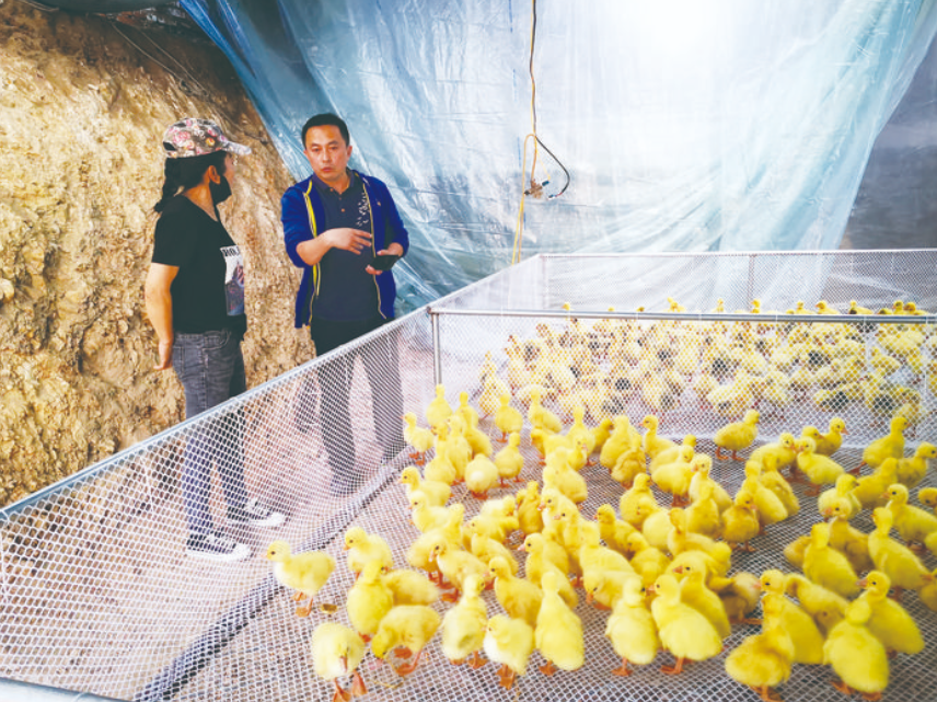 差异化孵化 组团式成长——我市创业孵化示范基地硕果累累