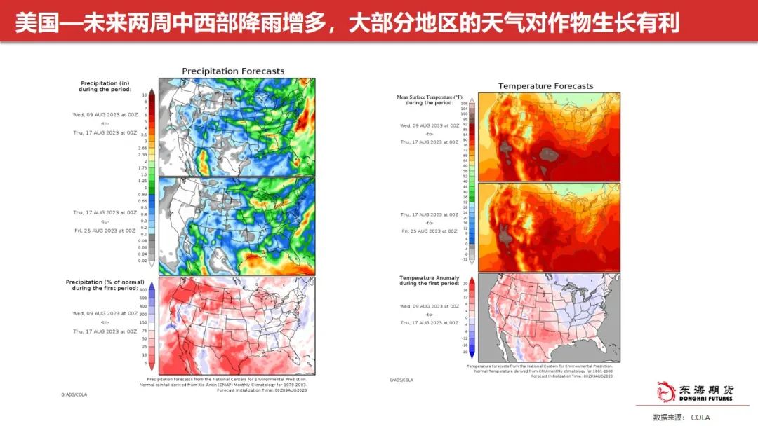 东海周报：油脂阶段性回调 关注豆油低多及场外棕榈油试空机会