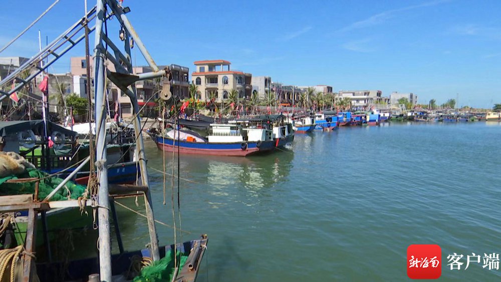 在码头修整的渔船.(临高融媒体供图)