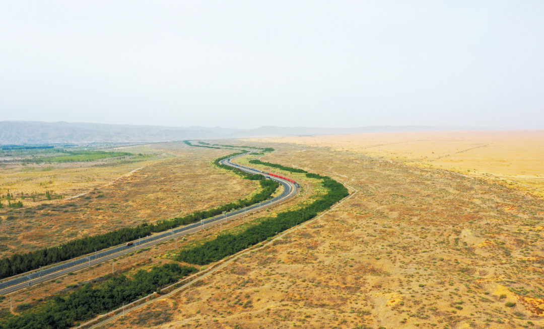 包兰铁路两侧的防风固沙林带保障了铁路平稳运行