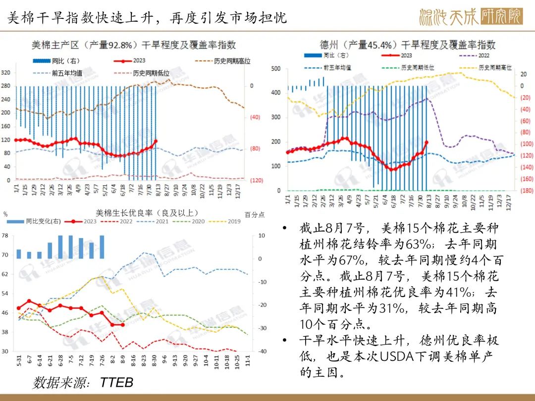 【棉花周报】内外供应均传利好，棉花有上行驱动