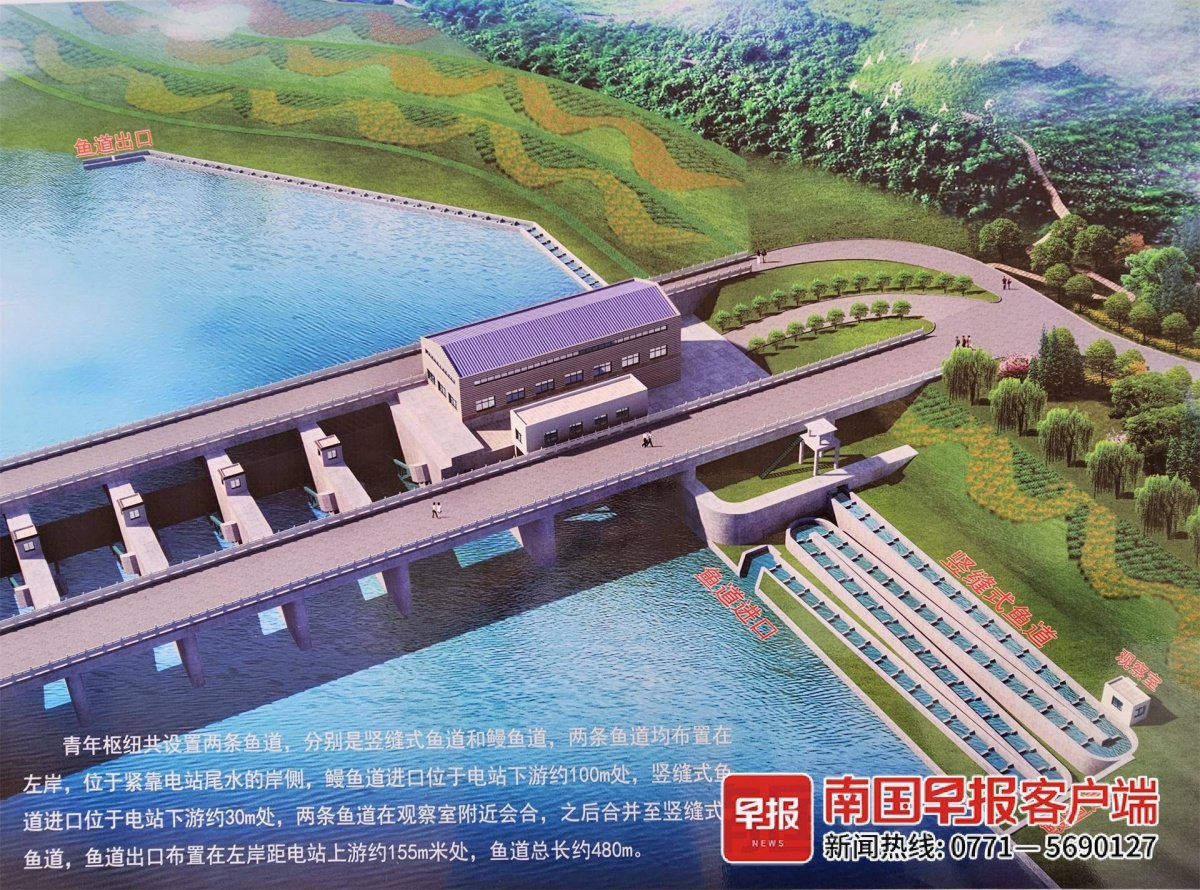 平陆运河开工建设一周年|为动物建"天桥",平陆运河将建成绿色运河