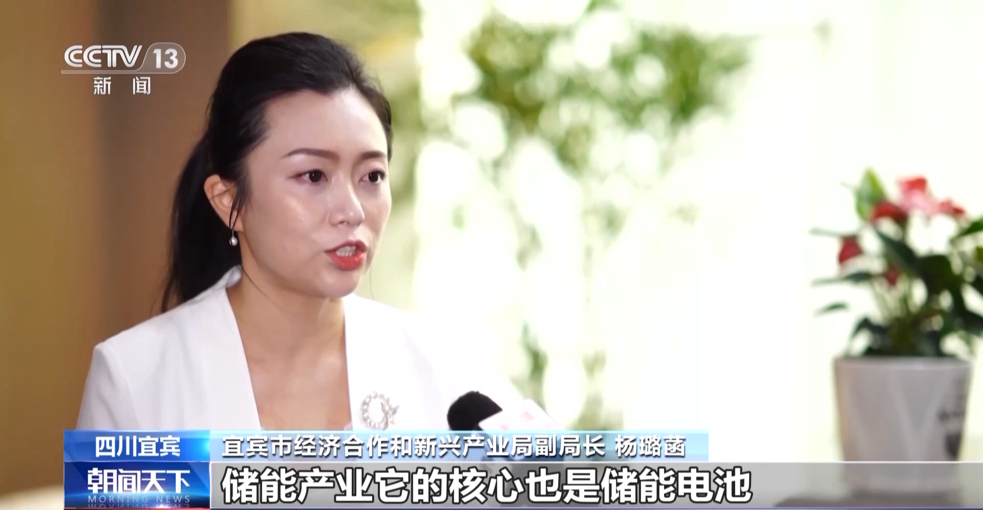 宜宾市经济合作和新兴产业局副局长 杨璐菡:储能产业的核心也是储能