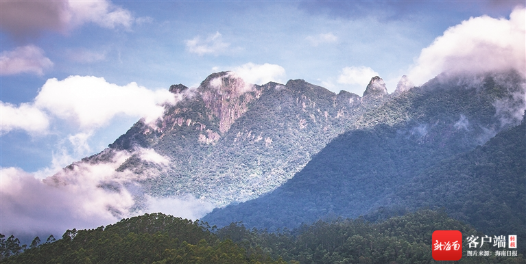 五指山是海南岛的名山,五峰直插云霄,形如五指,故而有"五指"之名.