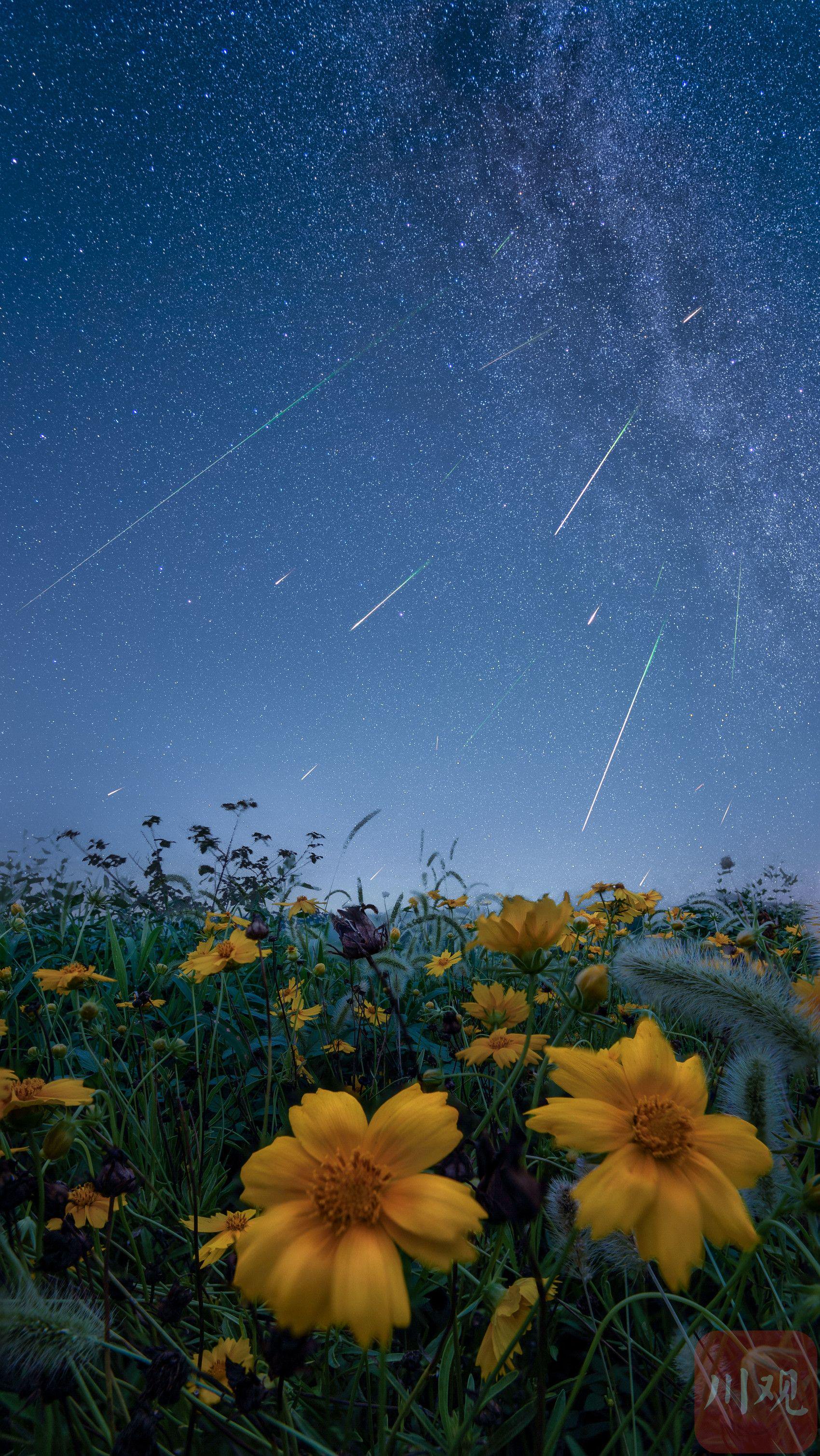13日凌晨,遂宁射洪,花海与流星雨同框,点亮苍穹,绽放绚丽.