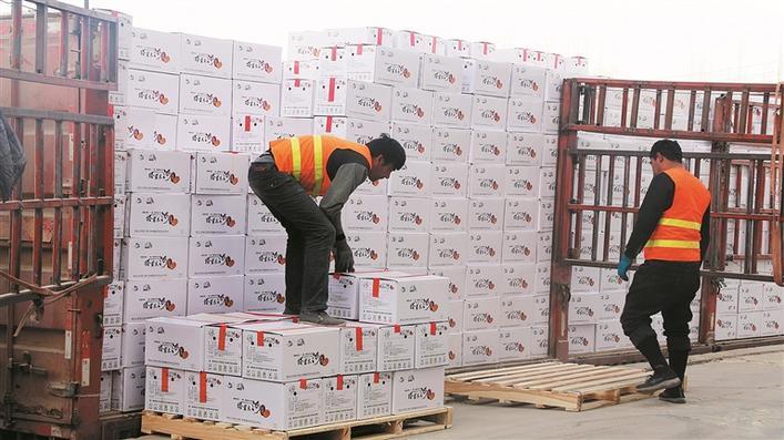 阿拉尔国家骨干冷链物流基地,工人在装卸农产品(资料图片). 姜彩妹 摄