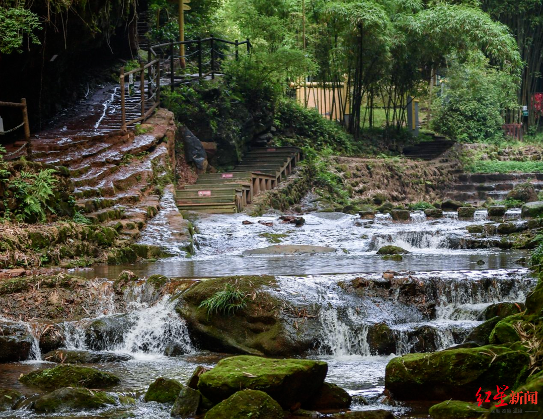 川西竹海景区 资料图