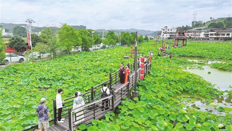 游客在岑巩县水尾镇马家寨景区荷塘游玩 杨云 摄