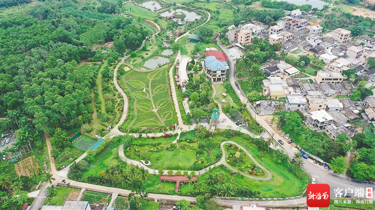 俯瞰定安县香草田园共享农庄.通讯员 张博 摄