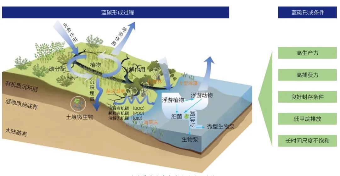 城市数字经济发展优秀案例