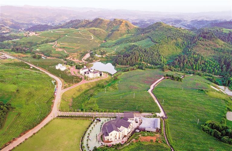 贵州省"绿水青山就是金山银山"实践创新基地——麻江县乌卡坪蓝莓园.