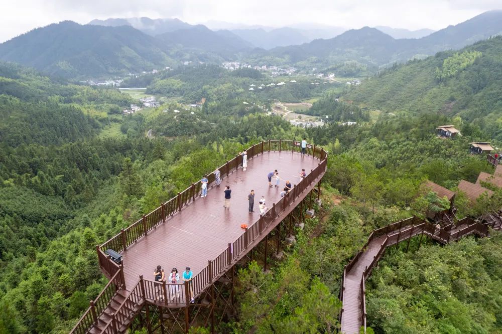 8月10日,游客在桂东县沤江镇青竹村观鸟平台游玩(无人机照片).