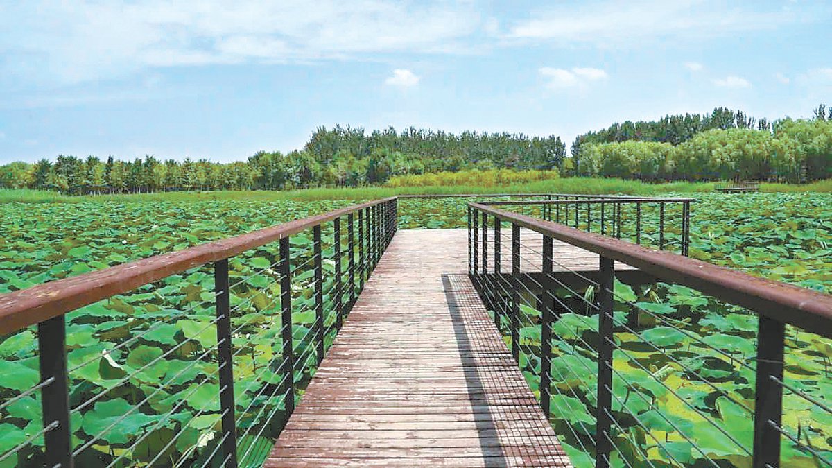 马驹桥镇新添1600米慢行步道|宁静_新浪财经_新浪网