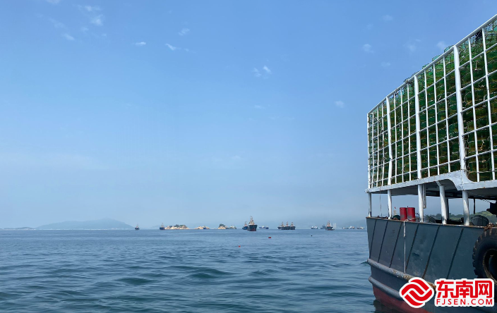 在连江黄岐海面上渔船等待出海.东南网记者卢金福 摄
