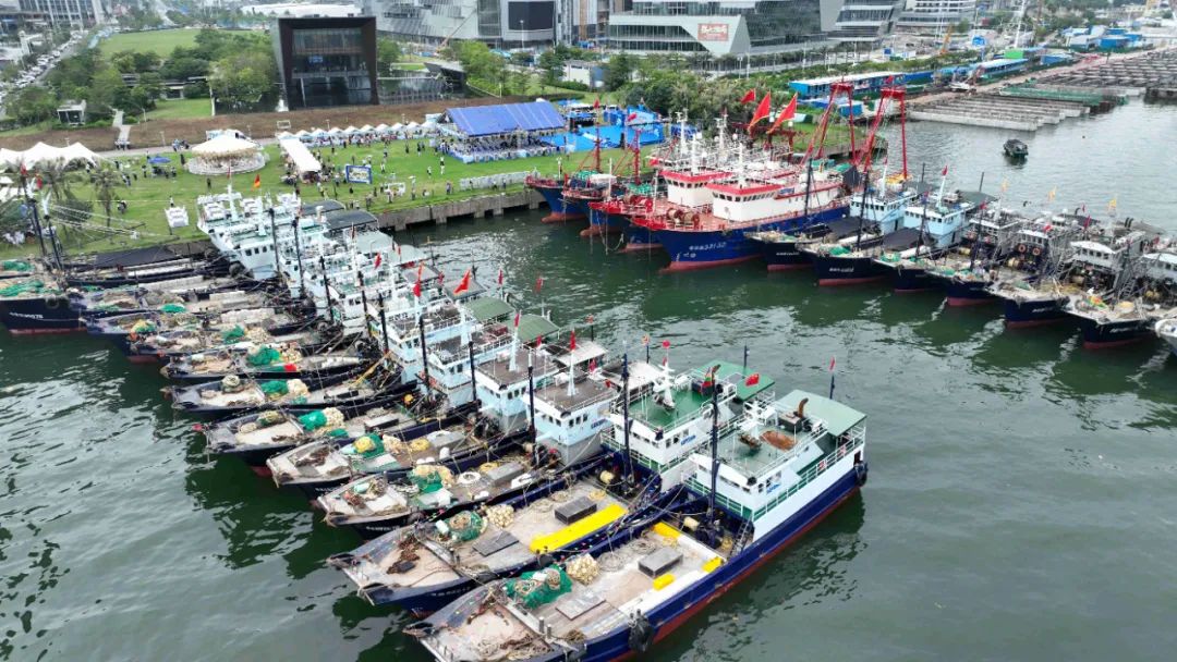 同时在硇洲渔港,乌石渔港,江洪渔港,调顺岛等地设立分会场