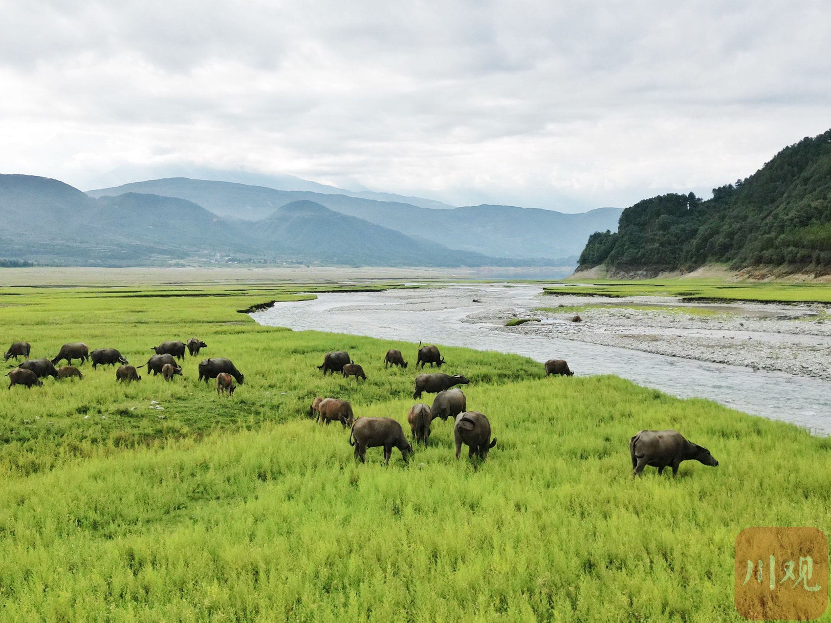 c视频|发现凉山冕宁安宁河源头绝美风光
