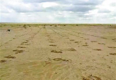 盟阿巴嘎旗吉尔嘎朗图苏木乌力吉图嘎查牧民特古斯家3500亩打草场