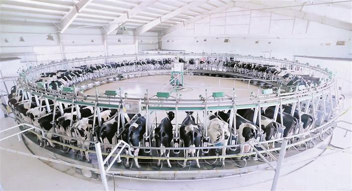 新疆芳草天润牧业有限责任公司挤奶大厅（摄于8月7日）。 兵团日报全媒体记者 邵明辉 摄
