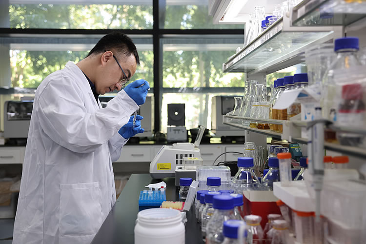在中国科学院天津工业生物技术研究所实验室,杨建刚副研究员在做人工