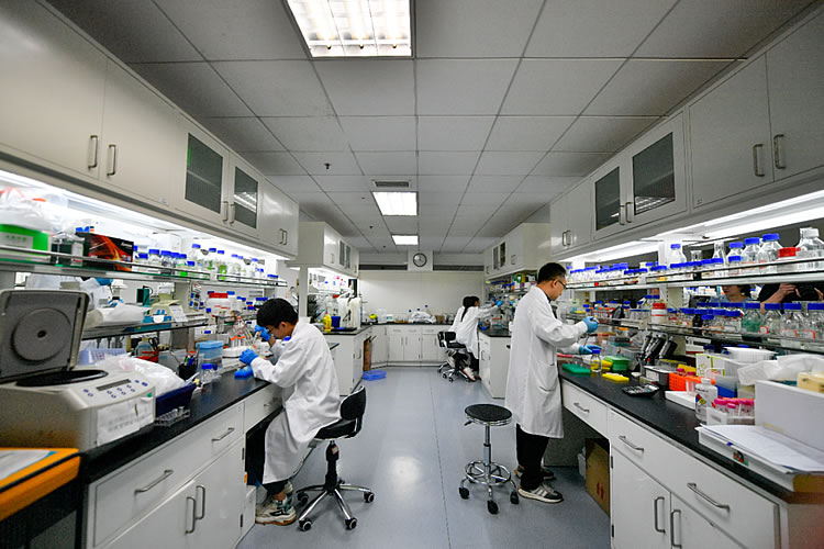 在中国科学院天津工业生物技术研究所实验室,科研团队在做人工合成己