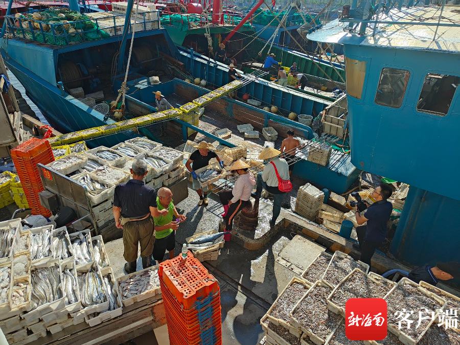 三亚崖州中心渔港码头,渔民们正在卸货.记者 符彩云 摄