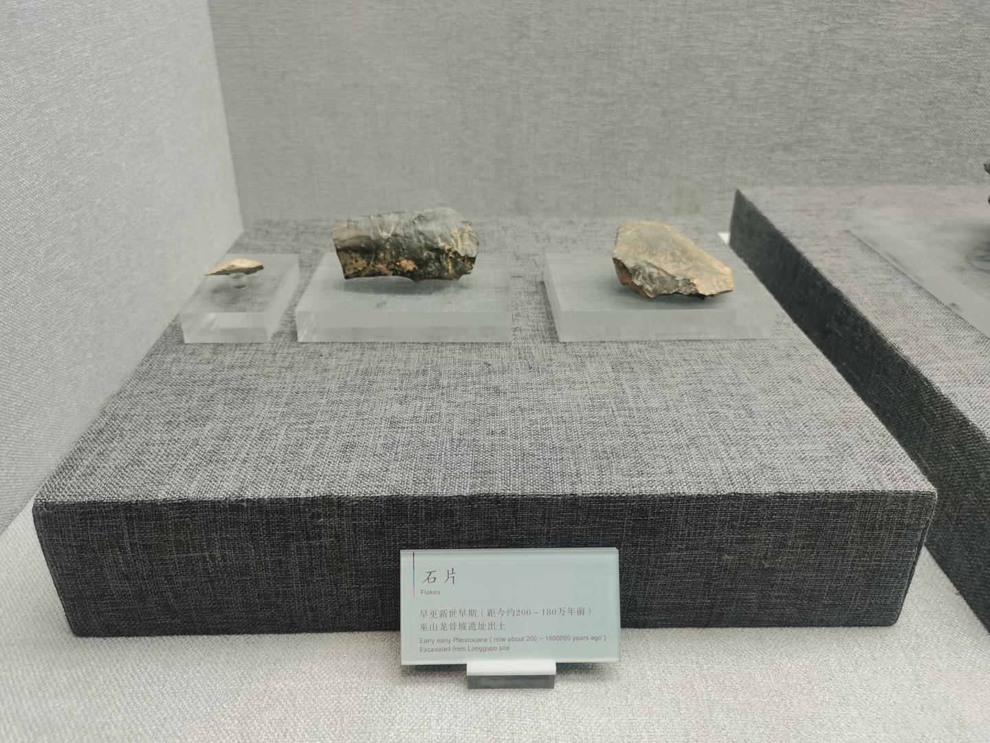 ▲2021年11月21日，重庆市巫山博物馆展出的龙骨坡遗址出土文物 图据视觉中国
