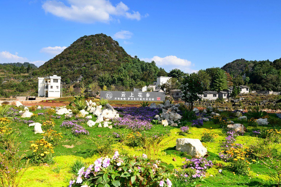 走进位于曲靖市罗平县板桥镇云上村,外地学习考察团,父母孩童家庭研学