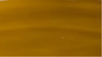 鱼露。图片来源网络