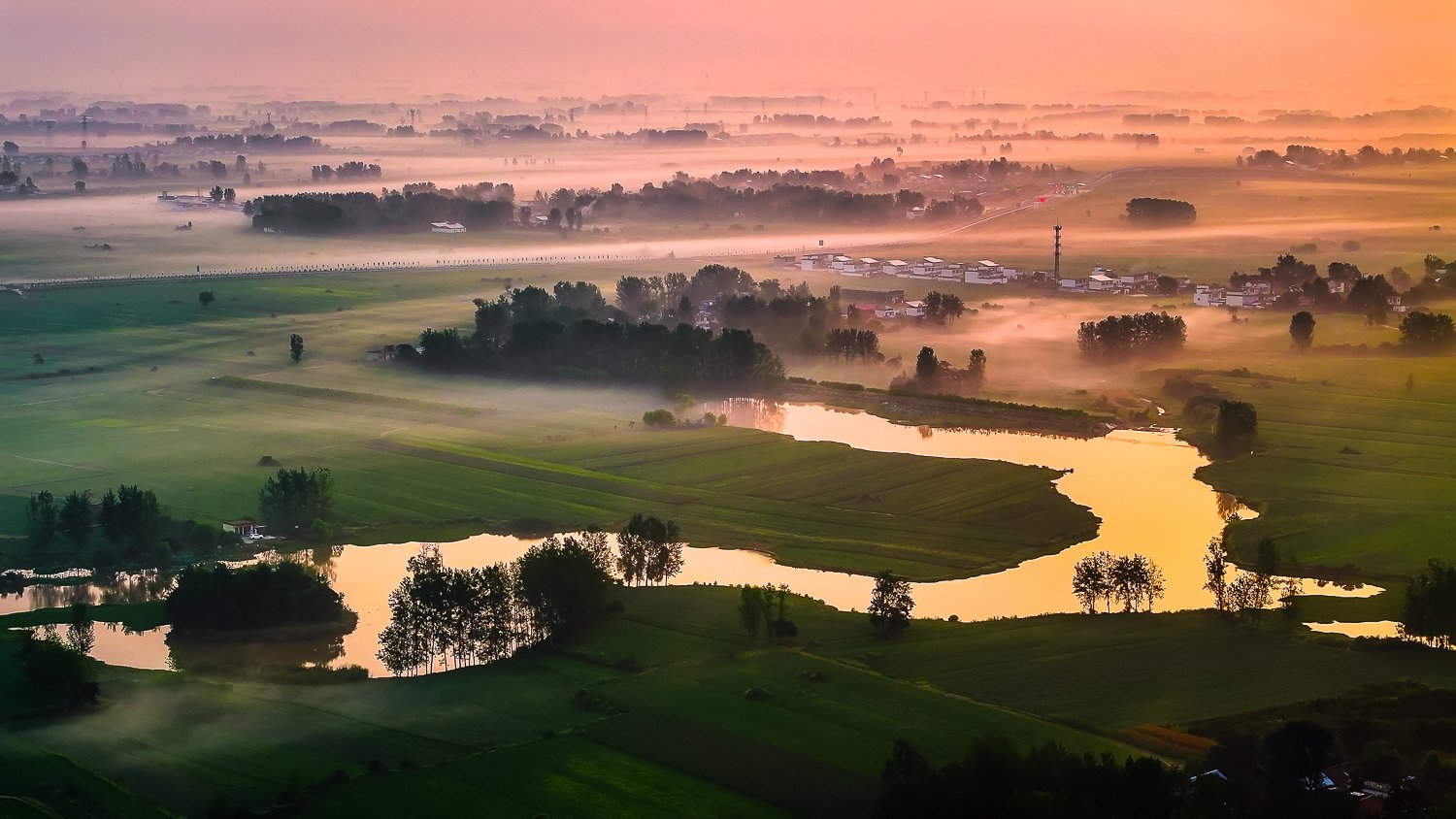 河南正阳:花生田 景如画|驻马店市_新浪财经_新浪网