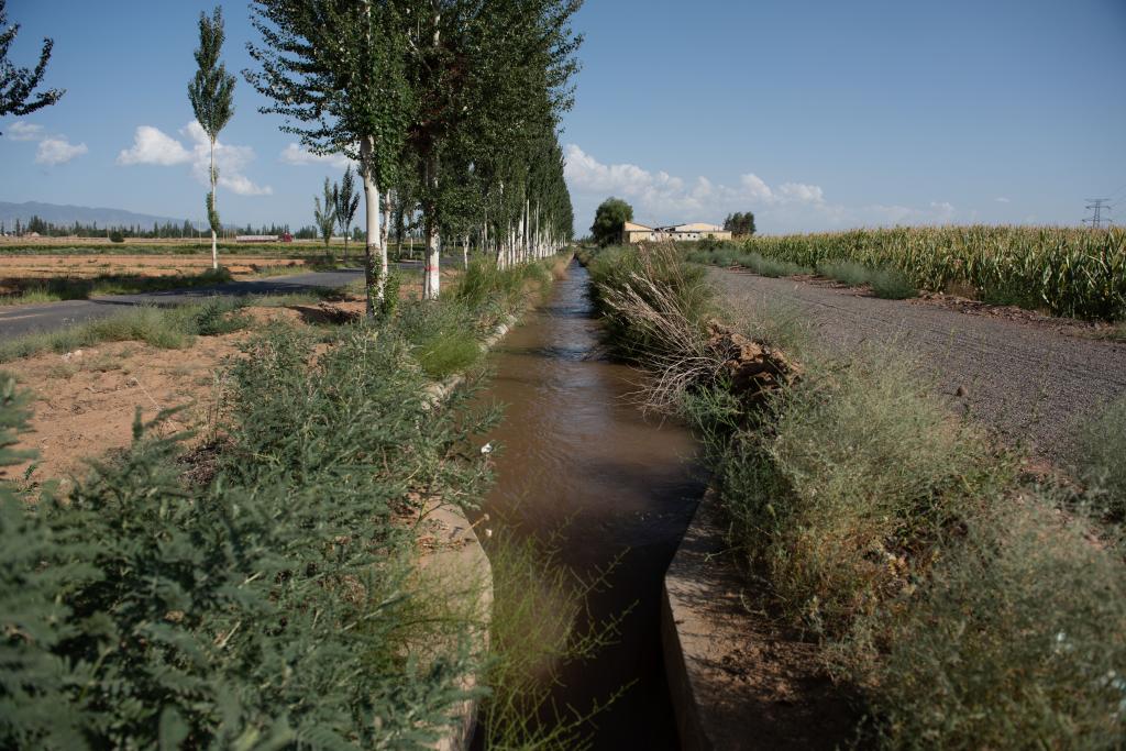 夏秋季第三次轮灌已经开始.新华社记者 李旭伦 摄