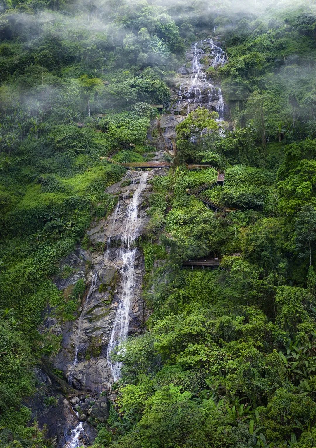 资料图:海南百花岭热带雨林文化旅游区