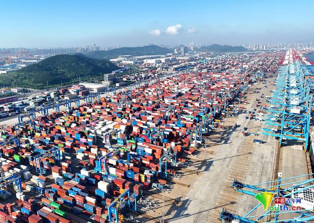 8月23日，在山东港口青岛港全自动化集装箱码头，集装箱堆场一派繁忙。张进刚　摄