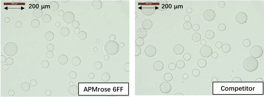 APMrose 6FF与国外先进产品的形貌比较（光学显微镜下）