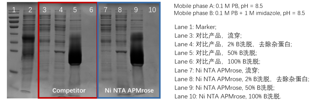 图：Ni NTA APMrose与对比产品的分离效果（琼脂糖电泳结果）