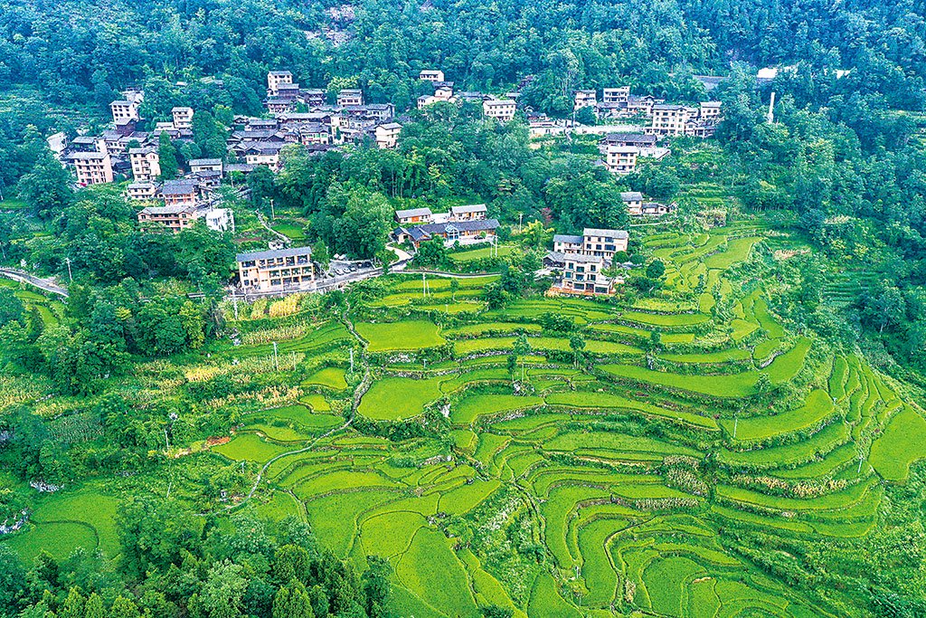 酉阳县花田乡图片