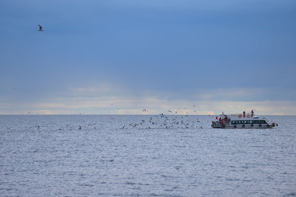 八月四日,游客在呼伦贝尔呼伦湖旅游景区乘坐观光艇游玩.
